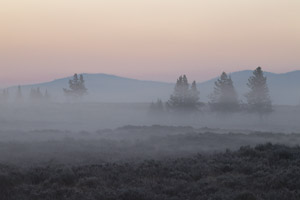 fog